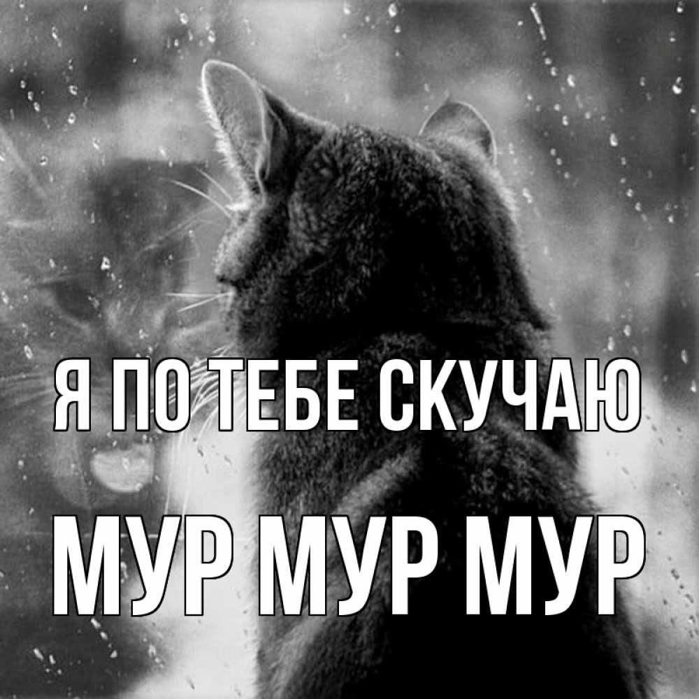 sve_tam's tweet photo. что делать если нравится человек с другого города..
я заебалась уже, мы даже не общаемся толком(видимся только летом) https://t.co/Z2znRUscAf
