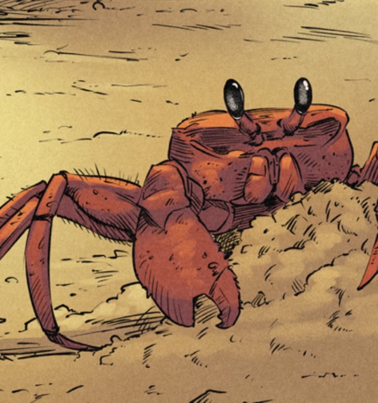 RexMoranis's tweet photo. When writing Roanoke, I looked at my friend’s comics and took elements from each to add to mine. @kamenamerica has a strong, female lead, @douglasernst has supernatural action and @scott_malin has a crab. Find out more about my crab by following the QR code or the link in my bio! https://t.co/6RS1S22dsI