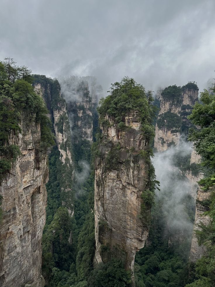 reminiscinbby's tweet photo. Avatar Mountains, Zhangjiajie, China https://t.co/ZGkm0FVsZV