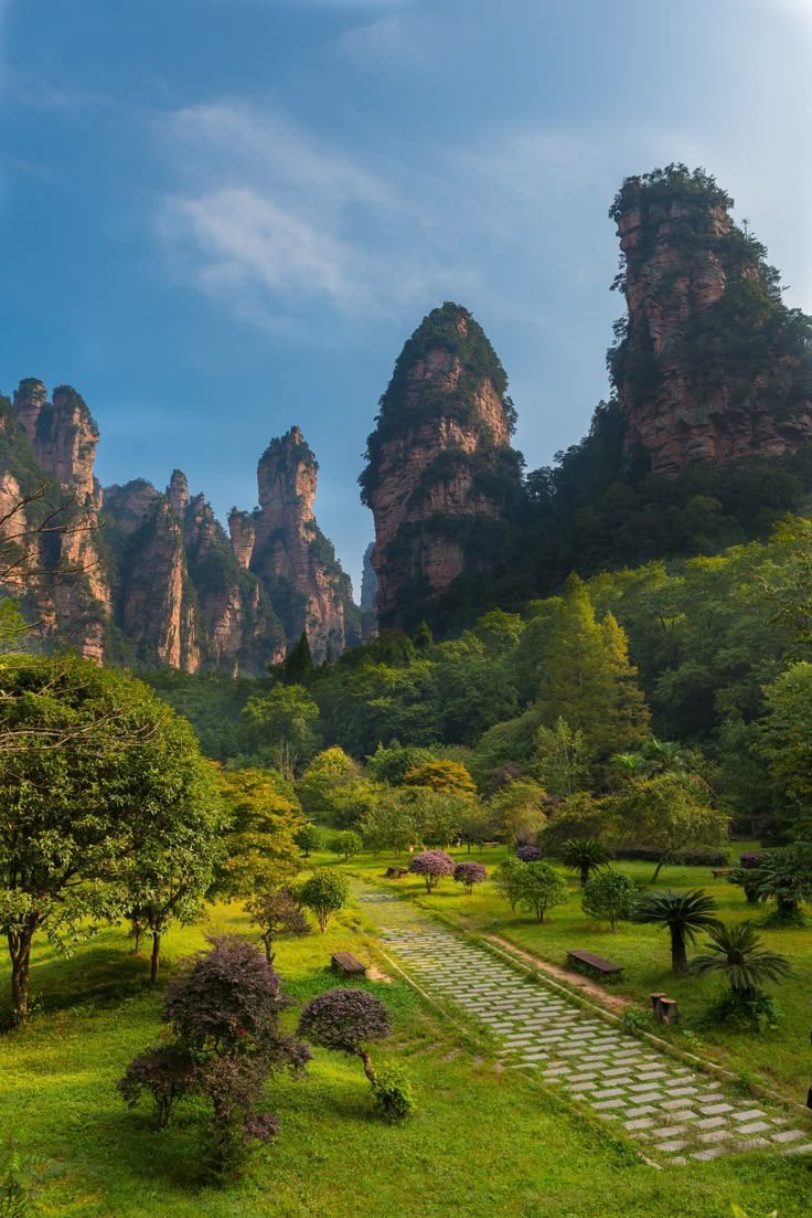 reminiscinbby's tweet photo. Avatar Mountains, Zhangjiajie, China https://t.co/ZGkm0FVsZV