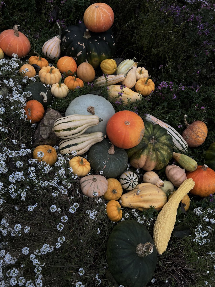 andykrtr's tweet photo. autumnholic https://t.co/SV63YWqMsq