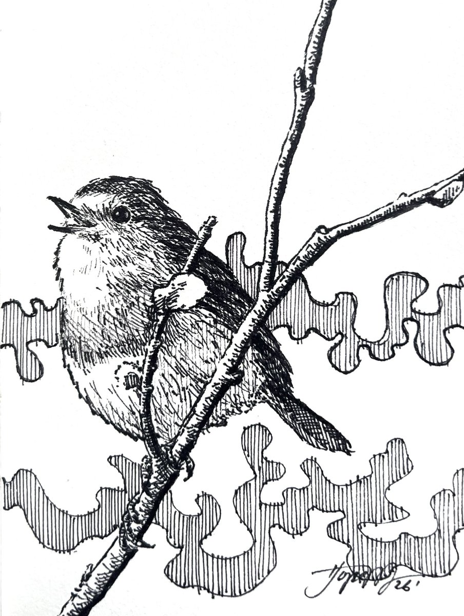 hopemondayart's tweet photo. 27th sketch of the month https://t.co/HaJPJUEHQt