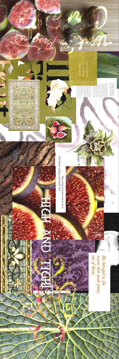 Higolatra's tweet photo. 🐞“ 𝟤͟𝟣͟𝗌͟𝗍, enfolded in tranquility’s gentle bosom (‘⅋) fig  𑣿 .. bug. https://t.co/VmkXTPwqMq