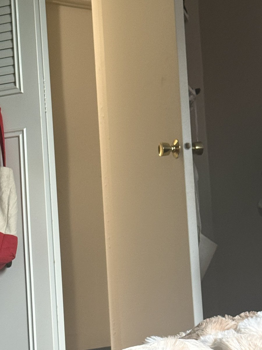hehoehole's tweet photo. Left the bedroom door open and took this pic, all of my (f) roommates are home https://t.co/EEK0qdAF6Q