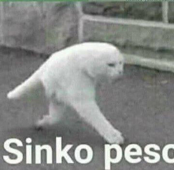 miau_pussy's tweet photo. #FromPetToTatari #ClashOfCritters
Helloo, clash of critters. 
Esta es mi mascota, se llama Salem, él es un gato magico, sus ojos son dos agujeros negros que te roban el alma y el corazón. :3 
En la segunda foto parece un sinko peso, el dibujo (hecho por mi) es su verdadera forma https://t.co/16fMAzuveT