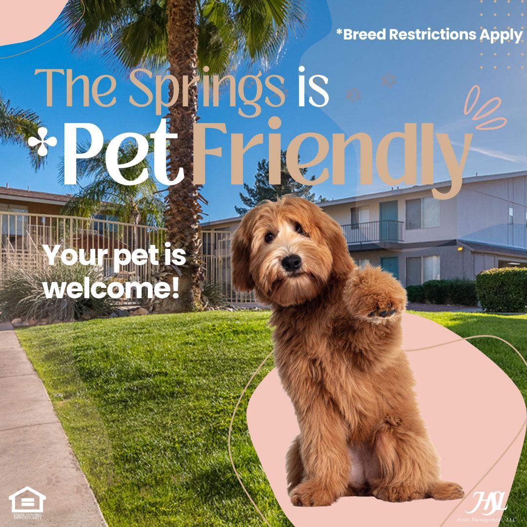 HSLTheSprings's tweet photo. 🐾 Pets are family, and they’re welcome at The Spring Apartments! 🐶🐱

Our community is proudly pet-friendly*, making it easy for you and your furry friends to feel right at home. ❤️🐾

*Breed Restrictions Apply.

HSL Asset Management, LLC.
[Equal Housing Opportunity] https://t.co/cmPGnjcRhL