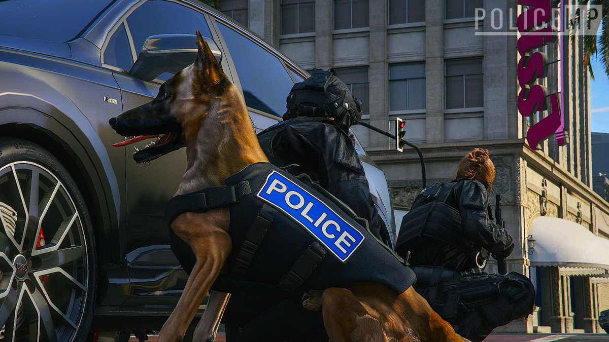 PoliceMP6's tweet photo. Dog Support unit - Assisting  in a bank robbery yesterday evening 🐕‍🦺 Join today at https://t.co/DYXcsXlC8I
#PoliceMP #FiveM #FivemRP #FiveMRolePlay #GTA5 #GTAOnline #GTA #GTAV #RolePlay #FiveMHighlights #FiveMGTA #GTARP #Online #GrandTheftAuto https://t.co/E71slJpU0g