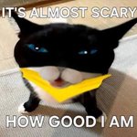 Photo by AvrageTurtle (@AvrageTurtle)