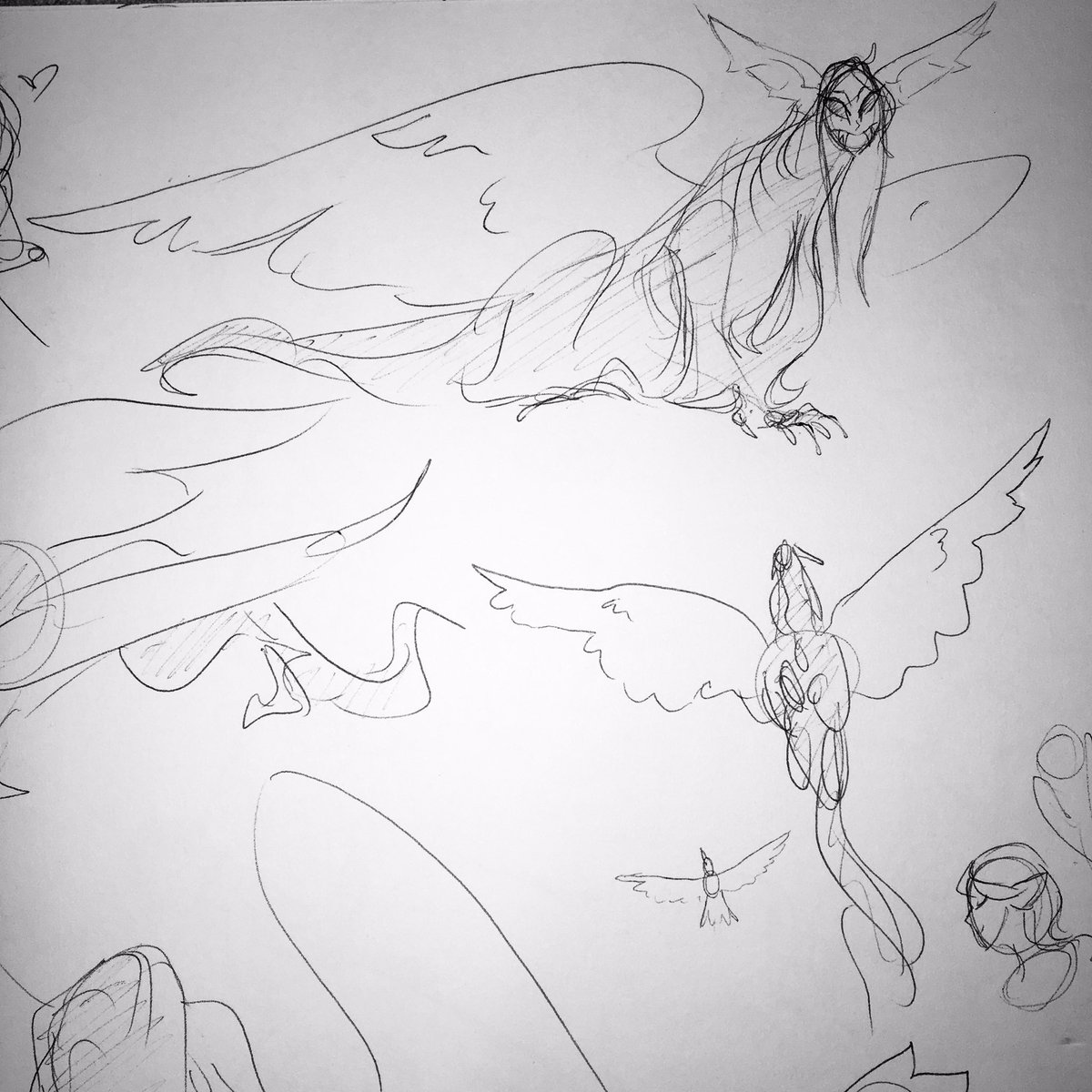 phantomdragon62's tweet photo. #eda #lilith #toh 22/23 https://t.co/rU8hVXn5oE