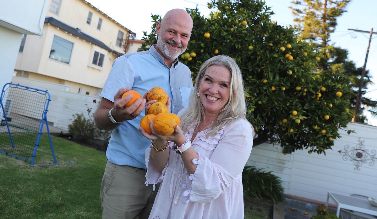 Sunnmorecom's tweet photo. Roy-Arne Farkvam Folkestad: Margit frå Folkestad blir grasenkje i Los Angeles 

Møre-Nytt kommer ut i Ørsta og dekker kommunene Ørsta og Volda. Vår nettavis er https://t.co/2bqvnN4OMq.

https://t.co/91IljVNImv https://t.co/XBW28F83pa
