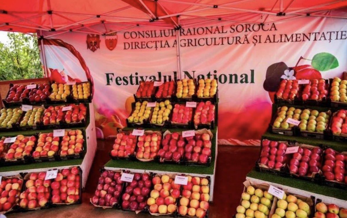 Mariaxfin's tweet photo. Română:
„Pe 29 septembrie, Moldova sărbătorește Festivalul Mărului — o zi dedicată merelor, tradițiilor locale și atmosferei de toamnă.” 

🍎 Toamna are gust de Moldova!

#Moldova #FestivalulMarului #AppleFestival https://t.co/kBnqjKHajw