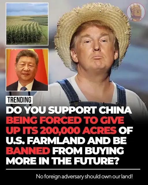 KatTheHammer1's tweet photo. 100% yes!! 

We cannot buy land in China!! They absolutely in no way should have access to any American soil PERIOD! https://t.co/La3rgY6IKp