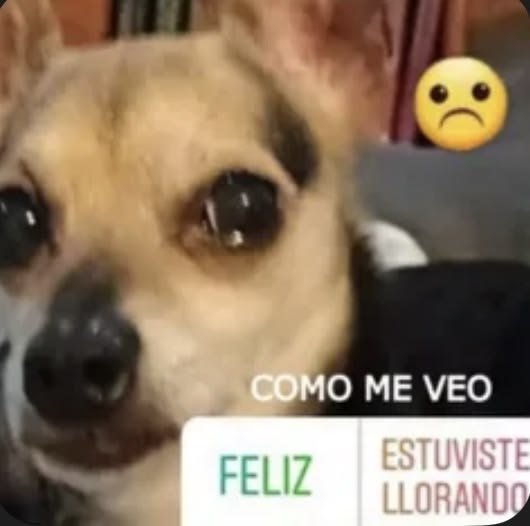strbzyx's tweet photo. yo cada k necesito atención https://t.co/6zvARf3JUA