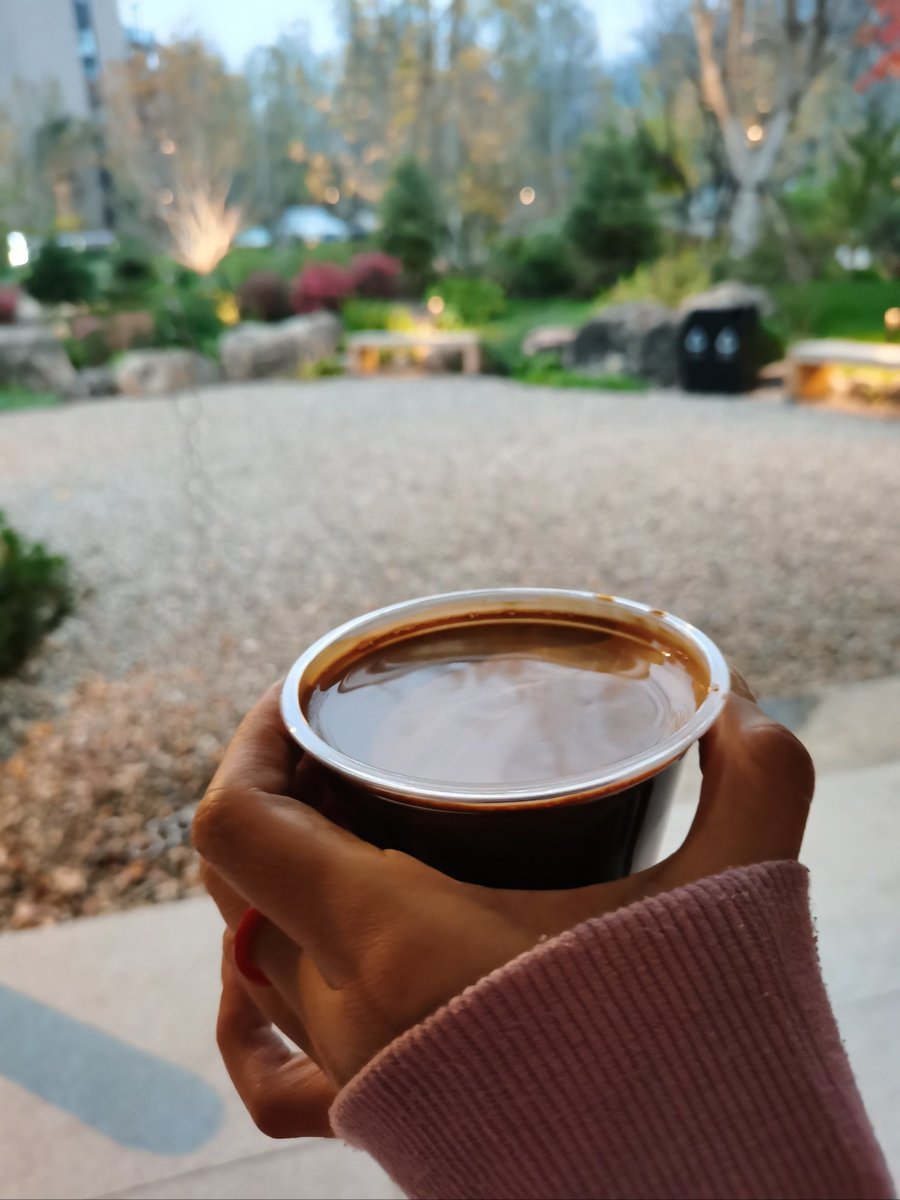 Heathcotevjq4's tweet photo. Este otoo trae días de sol suave y frío ligero, perfecto para un paseo con café caliente. https://t.co/uHIhKJamKt