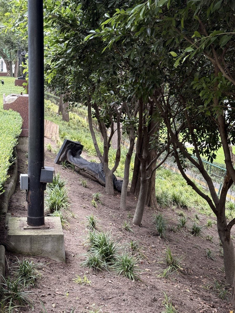 carelety's tweet photo. Más de un año después, la estatua de @FelipeCalderon sigue en el suelo de Los Pinos. 

Ya se ha informado que la razón es que se está revisando y atendiendo el arbolado del complejo antes de volver a colocarla. 

La pregunta inevitable es: ¿cuánto tiempo necesita una revisión de árboles?

Estas fotos las tomé hoy.

#LosPinos #FelipeCalderón #México