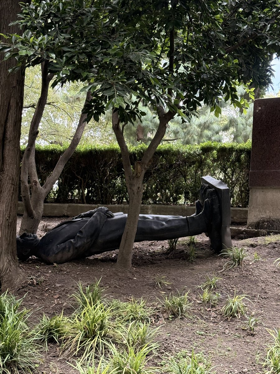 carelety's tweet photo. Más de un año después, la estatua de @FelipeCalderon sigue en el suelo de Los Pinos. 

Ya se ha informado que la razón es que se está revisando y atendiendo el arbolado del complejo antes de volver a colocarla. 

La pregunta inevitable es: ¿cuánto tiempo necesita una revisión de árboles?

Estas fotos las tomé hoy.

#LosPinos #FelipeCalderón #México