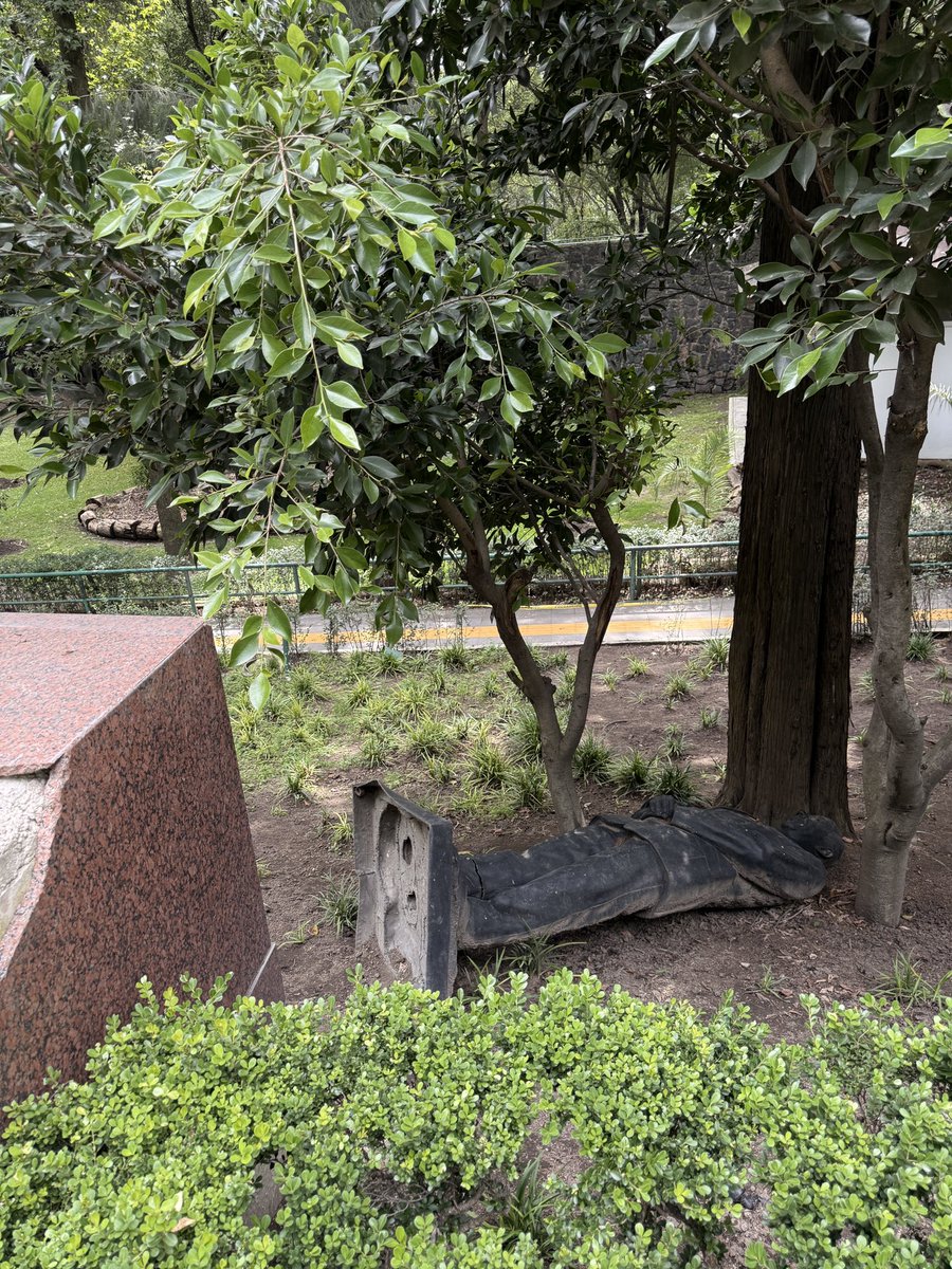 carelety's tweet photo. Más de un año después, la estatua de @FelipeCalderon sigue en el suelo de Los Pinos. 

Ya se ha informado que la razón es que se está revisando y atendiendo el arbolado del complejo antes de volver a colocarla. 

La pregunta inevitable es: ¿cuánto tiempo necesita una revisión de árboles?

Estas fotos las tomé hoy.

#LosPinos #FelipeCalderón #México