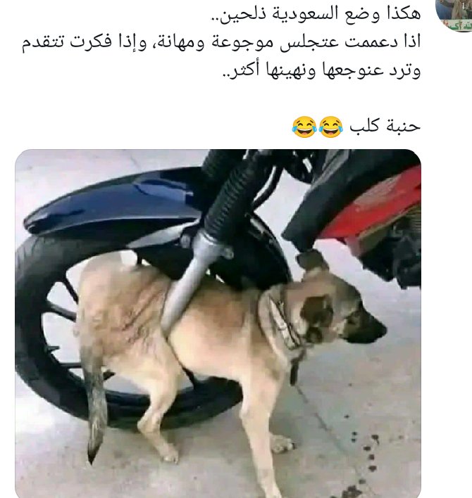 AlNtry19859's tweet photo. @Houthis_Watch https://t.co/2mxn6oOWtn