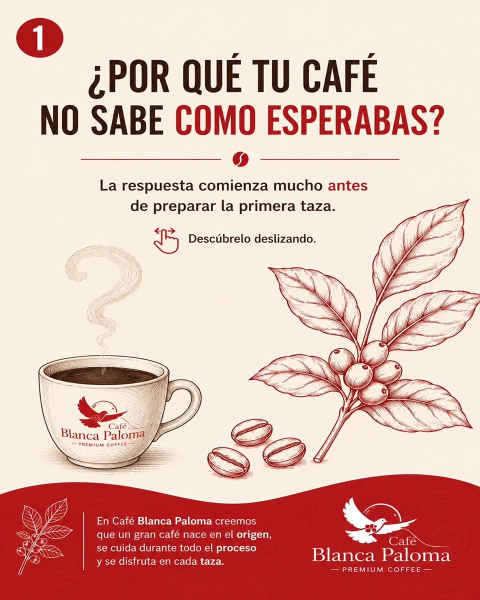 HelaineCurrey's tweet photo. Did you know a great cup of coffee begins long before the first sip? We often think the secret lies in the brewer, grinder, or technique. In reality, it all starts at the source: the farm, cultivation, processing, and dedication behind specialty https://t.co/htKa9oAWRb