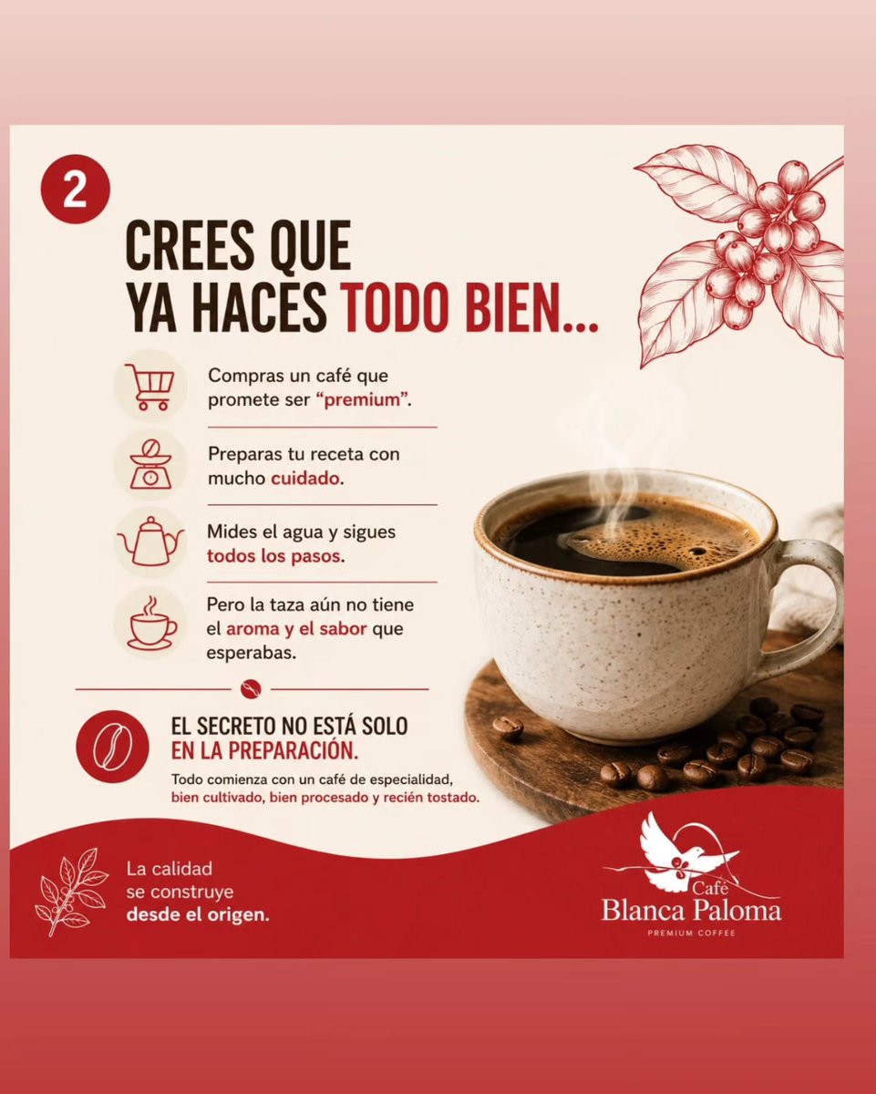 HelaineCurrey's tweet photo. Did you know a great cup of coffee begins long before the first sip? We often think the secret lies in the brewer, grinder, or technique. In reality, it all starts at the source: the farm, cultivation, processing, and dedication behind specialty https://t.co/htKa9oAWRb