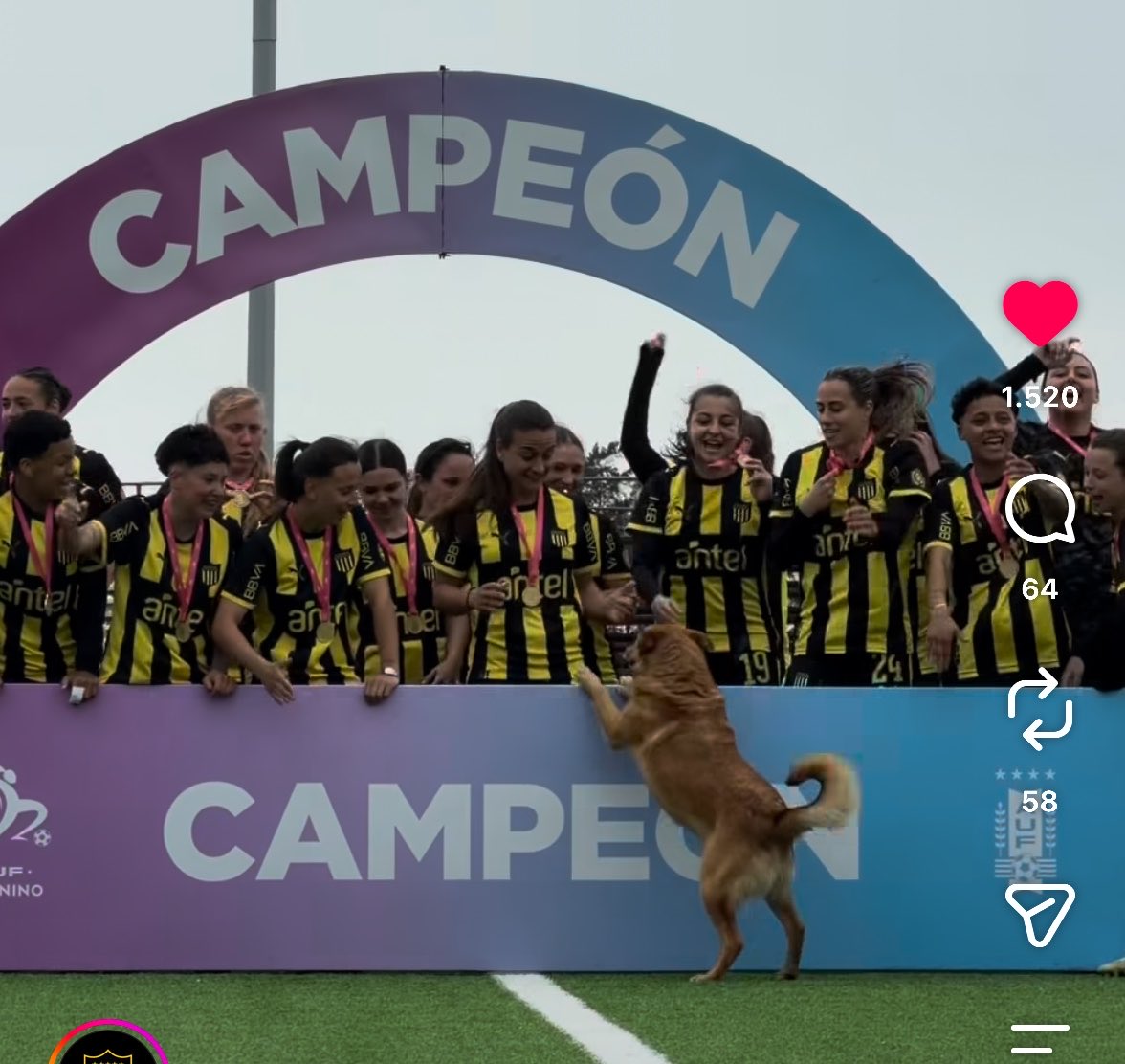 pautorterolo2's tweet photo. mucho lo critican como capitán pero maxi olivera fue el único que fue a festejar con ellas el campeonato https://t.co/WZPA2uVFnF