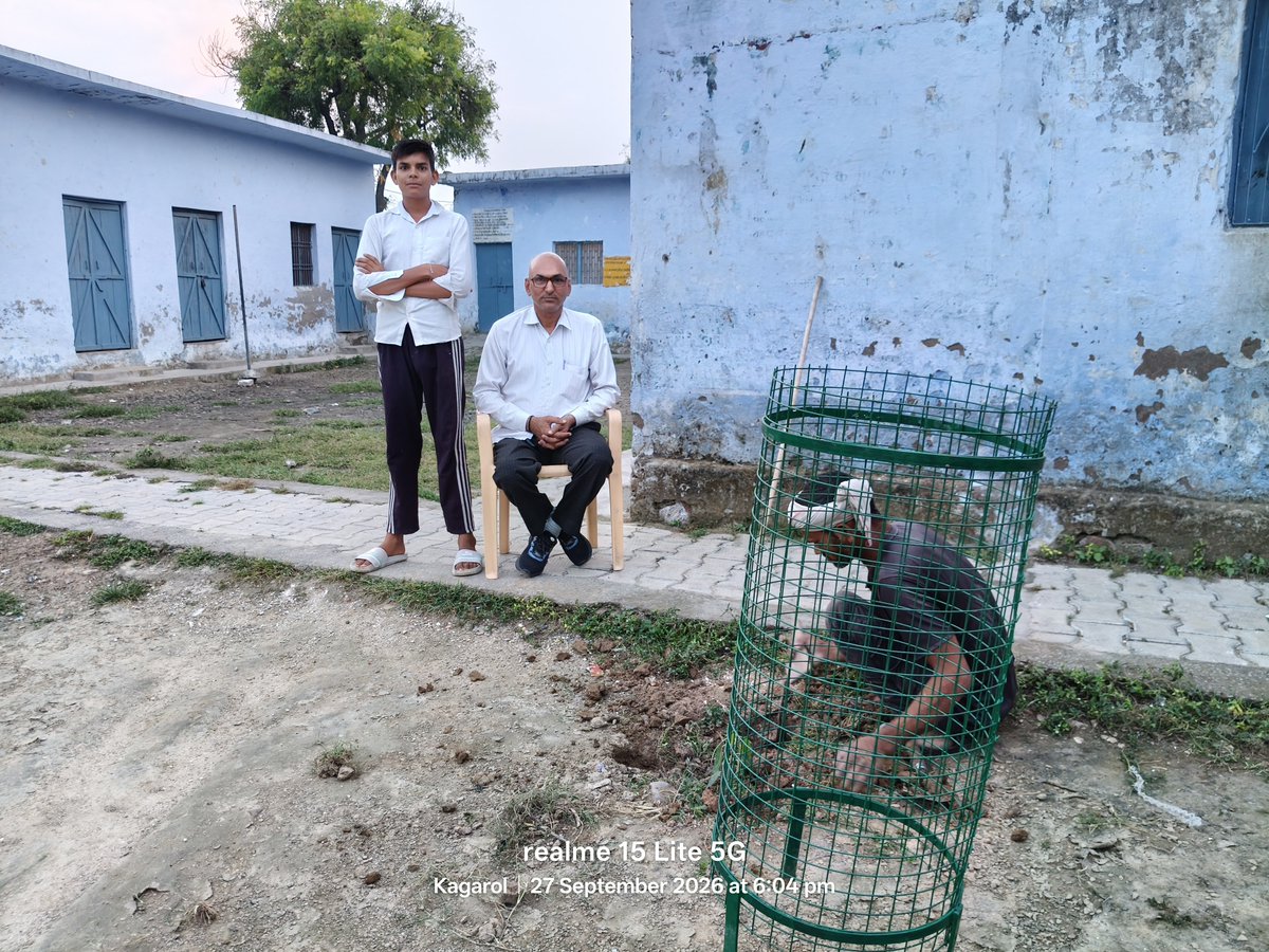 satyapals225's tweet photo. ईको क्लब फॉर मिशन लाइफ के अंतर्गत परम् आदरणीय जिला बेसिक शिक्षा अधिकारी आगरा व खण्ड शिक्षा अधिकारी खेरागढ़ के निर्देशन व मेंटर खेरागढ़ डॉ मनोज कुमार वार्ष्णेय के मार्गदर्शन में पौधों को बंदरों से बचाने के लिए ट्री-गार्डों को कंक्रीट के साथ स्थापित कराते हुए https://t.co/HsN6V5cUBC