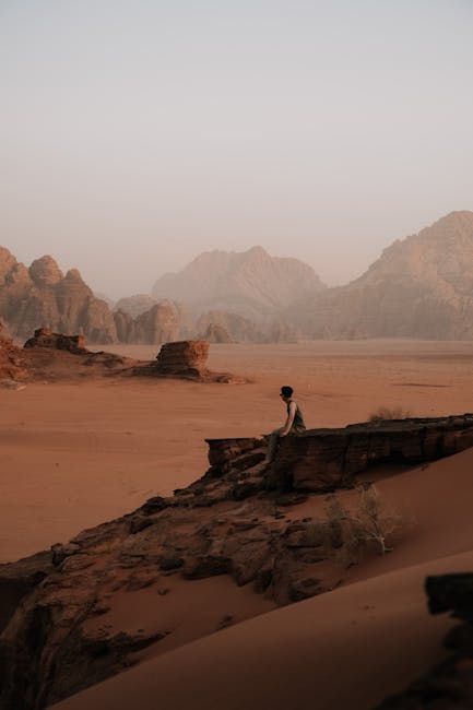 MatthewWartq's tweet photo. يتدفق جدول صغير عبر صخور مغطاة عن اللون الخصبة بالطحالب، كاشفاً درجات الأخضر للطبيعة البكر. bertram seidenbecker https://t.co/mArgUqtzdG