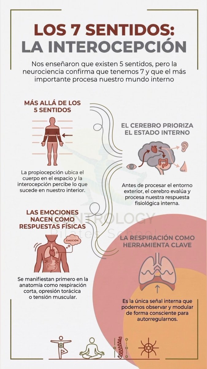 MiPilatesStudio's tweet photo. Te presentaron la Vista, el Oído, el Gusto, el Olfato y el Tacto… Pero hay 2 sentidos más que dominan tu movimiento y tus emociones 🌿✨
Hoy te enseño qué es la Interocepción y por qué cambia las reglas del juego 🧠🧘‍♀️ https://t.co/y67LWRsGpR