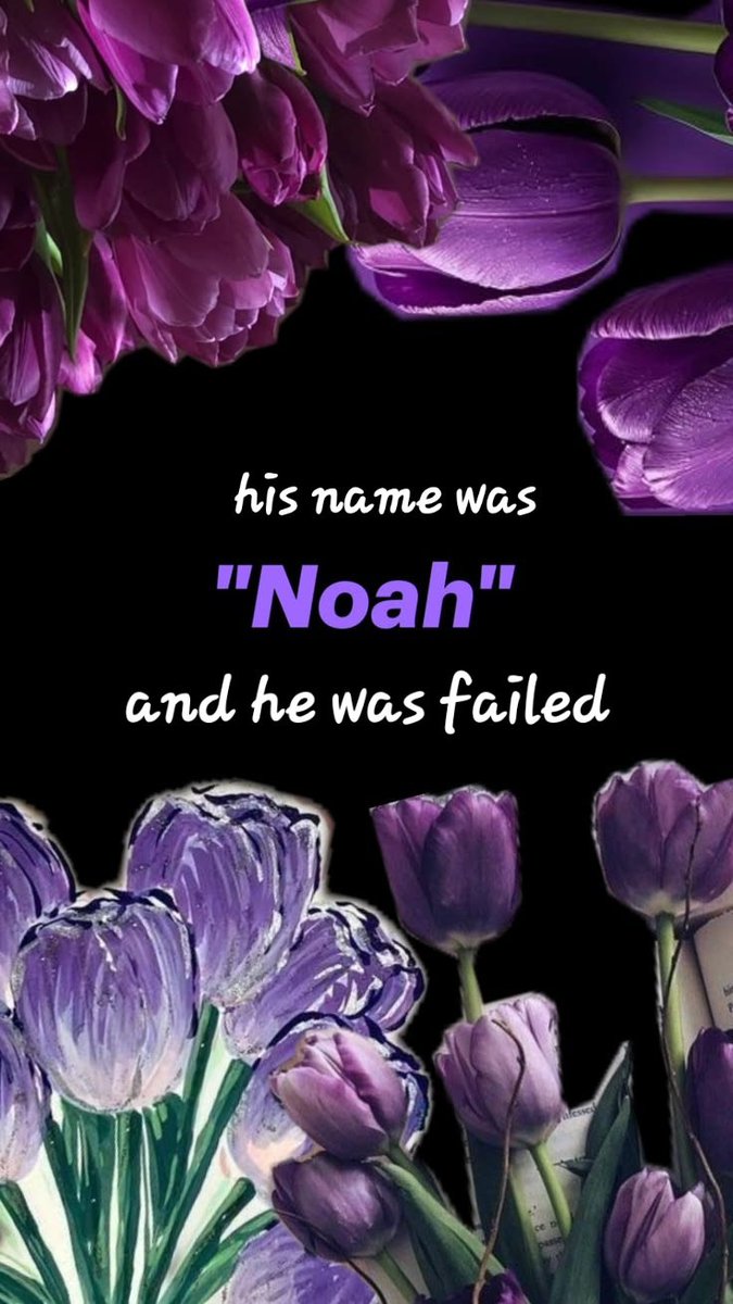 ChristineO39859's tweet photo. #JusticeForNoahDonohoe https://t.co/esxWtaUv16