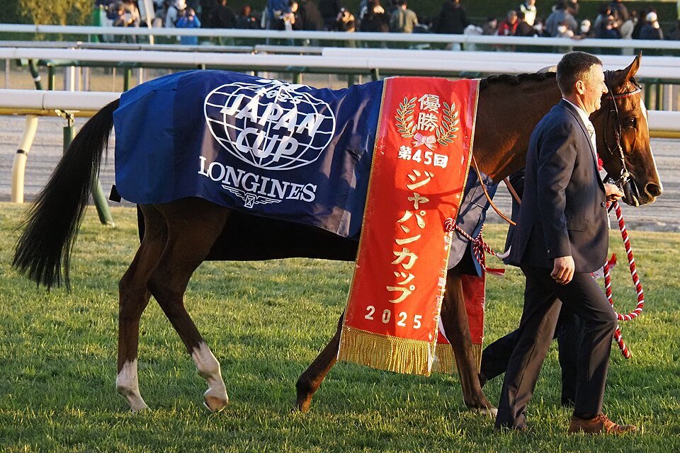 keiba_info_club's tweet photo. 今年のジャパンCに出走予定？の海外勢、ヤバすぎる

🇨🇱→🇺🇸テアオ(牡4)
・🇨🇱GI4勝
・🇨🇱年度代表馬
・🇺🇸でフライトラインら管理の名門厩舎に入厩

🇫🇷カランダガン
・GI6勝
・昨年王者
・カルティエ賞年度代表馬

🇦🇺ハーフユアーズ
・GI2勝
・昨年コーフィールドC&メルボルンC制覇
・史上13頭目の「カップス・ダブル」を達成
・52年ぶりにヴィクトリア州生産馬がメルボルンC制覇

🇬🇧オンブズマン
・GI4勝
・今年のドバイターフ制覇
・2000mでは世界最強クラス

🇫🇷ゴリアット←NEW!!
・GI3勝
・24年は0.5秒差6着
・オーナーのSNSが面白い
