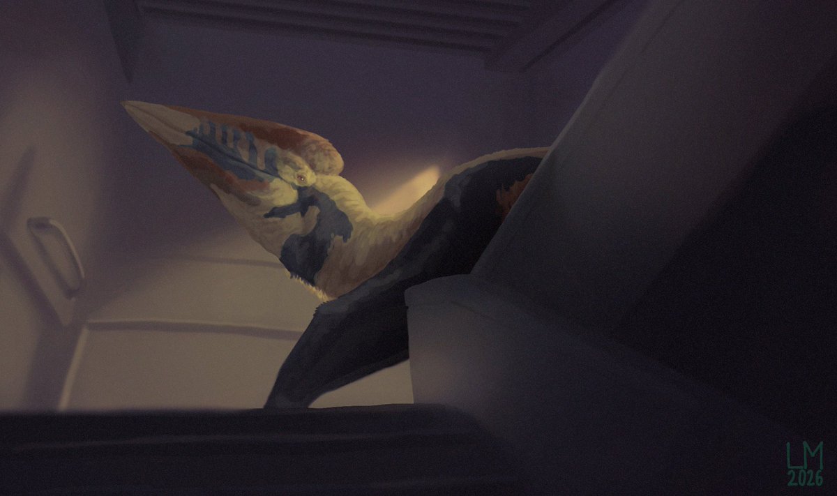 Lmacrothorax's tweet photo. And suddenly, all those exams mean nothing when the past come for you.

#dinosaurs #hatzegopteryx https://t.co/1dxrJcxbBi