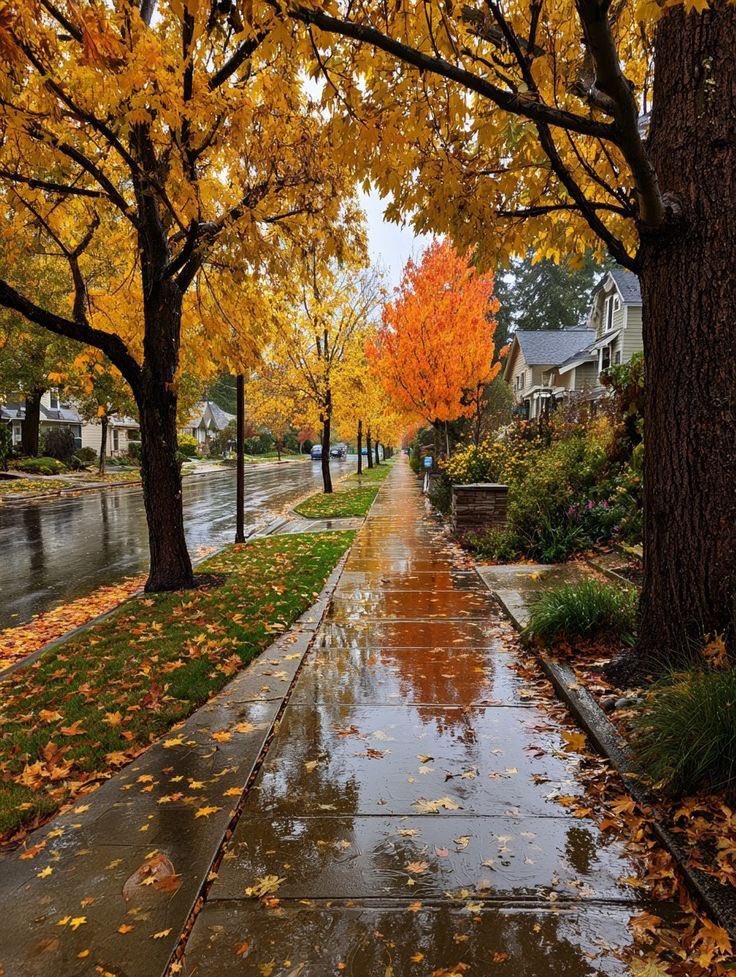 thespookygirll's tweet photo. 🍂🍁🌧️ https://t.co/rKxJzk0UXf