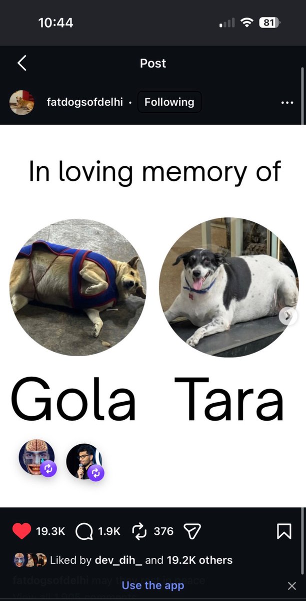 amanyayayayayay's tweet photo. YAARRR NOOO💔💔💔💔 https://t.co/BJ3PqrpOcJ