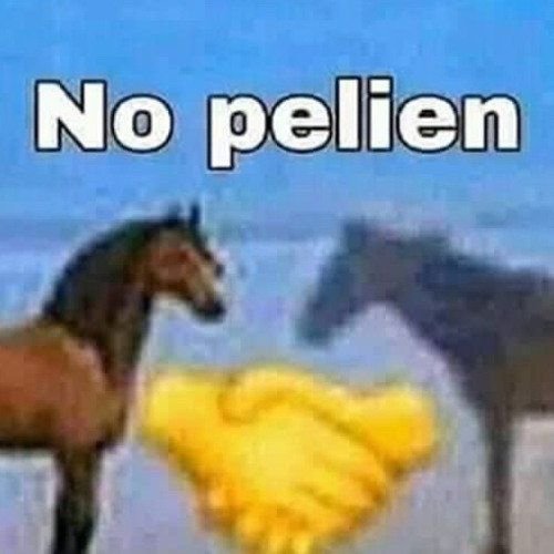 anne44355's tweet photo. @yoonsgel Ntp Amix yo te defiendo, claramente en el post no ofendida ni decías nada, claramente es solo una persoectiva propia sobre el ship, no hay nada de malo creer que Jimin es Top no que Jimin es Botom cada quien tiene sus preferencias y gustos, no deberían de tomarse lo a pecho. https://t.co/aJW2Dz5CZq