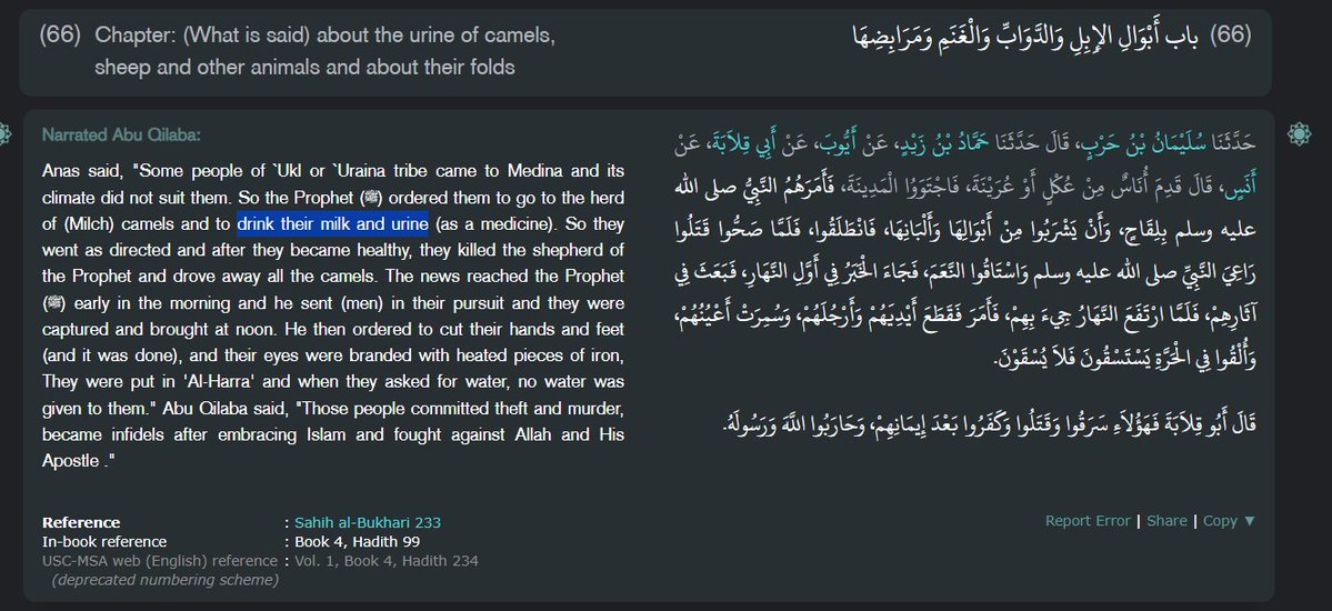 Romuluspwro's tweet photo. @ZaninaYassine @renn_037 @ScottFishman Drinking piss is sunnah in Islam. https://t.co/Wj8uWP1AG2