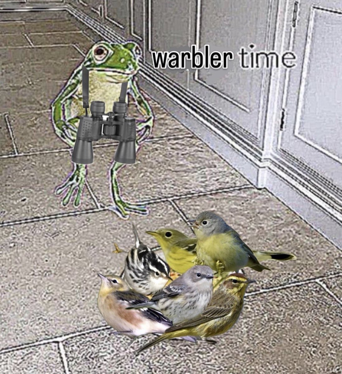 RockPigeonGuy's tweet photo. https://t.co/rc9Ib1Mv7w