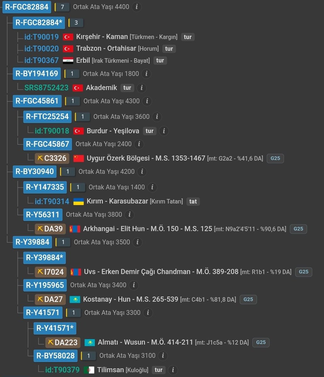 dusunselsiddet's tweet photo. @Benalmvaryb @ParsKuru Otozomal skorum, baba soyundan aynı haplogruba sahip olduğum kuzenlerimin listesi ve baba soyu haplogrubumun ortaya çıktığı alanın haritası. Ben senin atalarını eşek sürüsü gibi güden Xiongnu'nun soyundan geliyorum. https://t.co/awMnCd439U