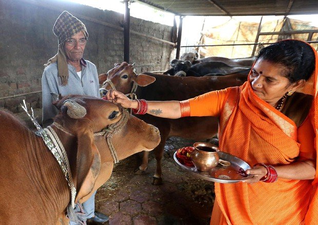 ShazzadW's tweet photo. @RadioGenoa Also Hindus culture is hygienic right?? 😂😂😂🤣🤣🤣🤣 https://t.co/Uvy4s02EV9