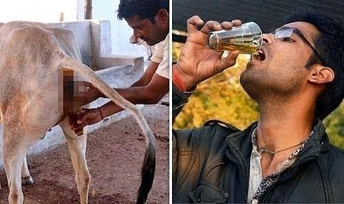 ShazzadW's tweet photo. @RadioGenoa Also Hindus culture is hygienic right?? 😂😂😂🤣🤣🤣🤣 https://t.co/Uvy4s02EV9