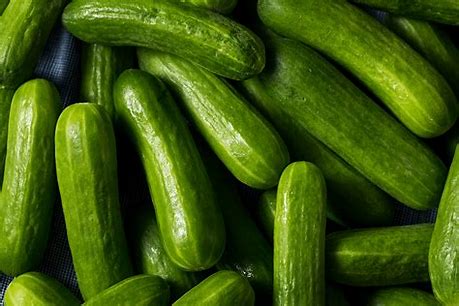 DedayoRoots's tweet photo. Cucumber skin has a higher silica concentration than most collagen-support supplements. 

The skin you peeled off and discarded was the part doing the most for skin elasticity. https://t.co/8PUPNAAF3R