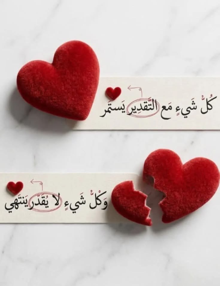 Dir_k9's tweet photo. فعلا 👌👌 https://t.co/DqiANM1gw8