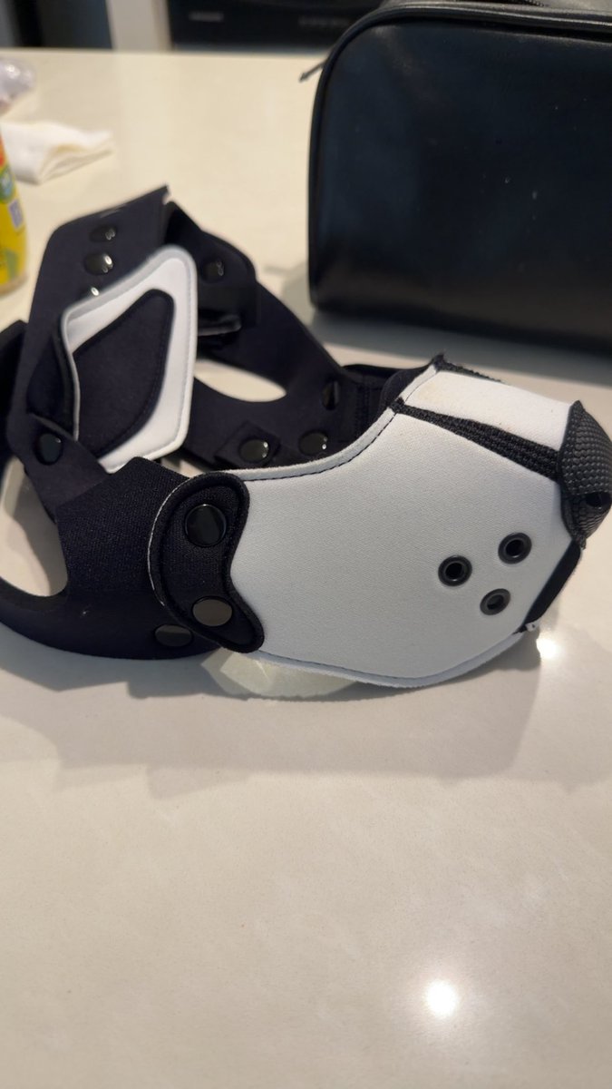 Gaymer_Verse's tweet photo. About to be a good pupper at Folsom. I can’t wait! https://t.co/uO1VjnQhxl