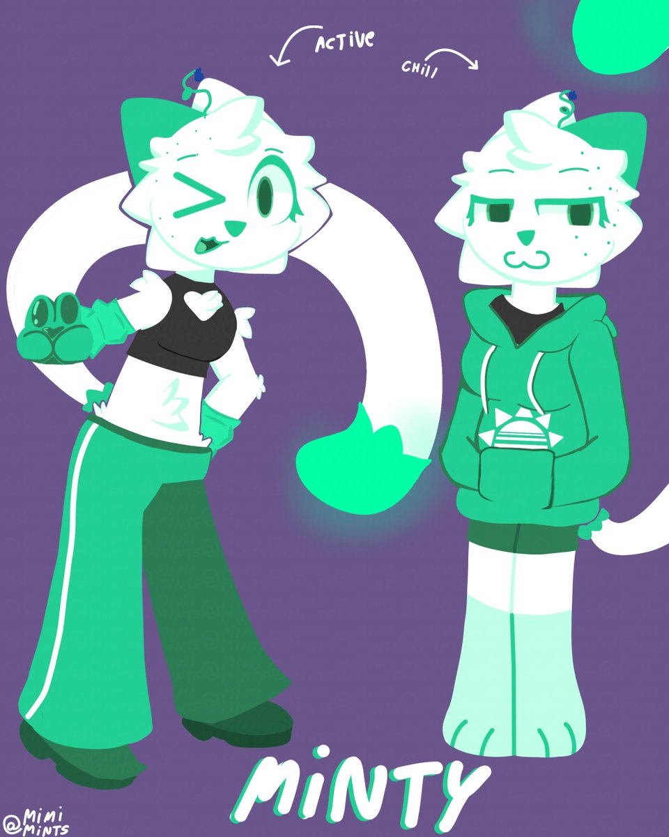 MimiMints_'s tweet photo. Minty the mintcat 🐈 https://t.co/S7OaYV3OHf
