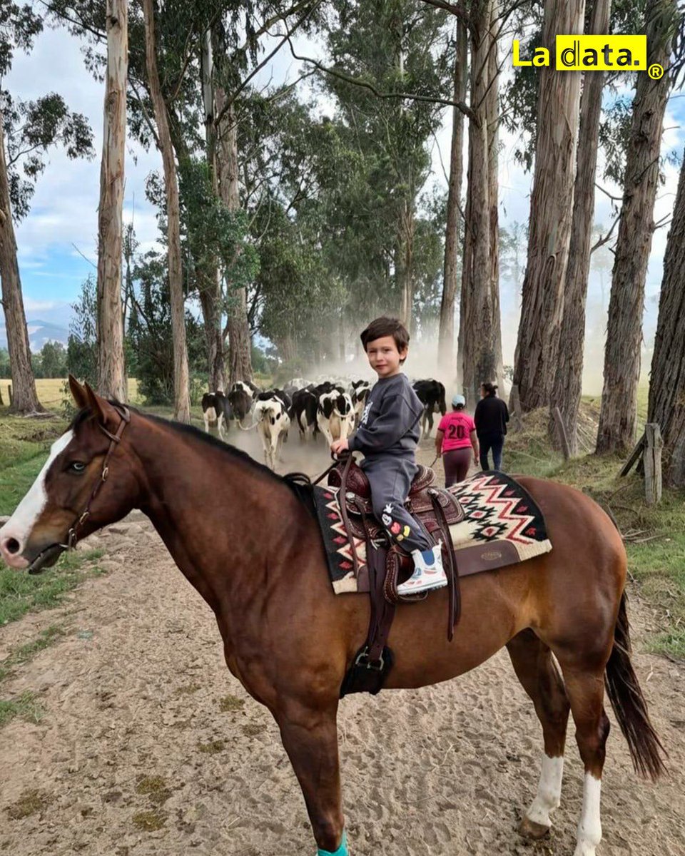 ladataec's tweet photo. #Tendencia Fuera de la agenda oficial: El tierno y especial fin de semana del presidente Noboa junto a sus pequeños

Lejos del Palacio y de la agenda oficial, el presidente Daniel Noboa mostró su lado más humano y familiar al compartir un tierno fin de semana siguiendo el plan de sus pequeños Álvaro y Furio. Entre gallinas, caballos y risas en el campo, el mandatario disfrutó de momentos especiales a caballo junto a sus hijos, una postal que refleja cercanía, sencillez y el valor de la familia que también construye su liderazgo.

@ladataec👈

#ladata #TendenciaPolítica #DanielNoboa #Familia