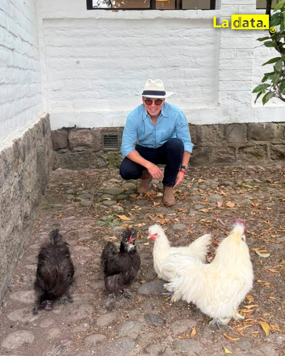 ladataec's tweet photo. #Tendencia Fuera de la agenda oficial: El tierno y especial fin de semana del presidente Noboa junto a sus pequeños

Lejos del Palacio y de la agenda oficial, el presidente Daniel Noboa mostró su lado más humano y familiar al compartir un tierno fin de semana siguiendo el plan de sus pequeños Álvaro y Furio. Entre gallinas, caballos y risas en el campo, el mandatario disfrutó de momentos especiales a caballo junto a sus hijos, una postal que refleja cercanía, sencillez y el valor de la familia que también construye su liderazgo.

@ladataec👈

#ladata #TendenciaPolítica #DanielNoboa #Familia