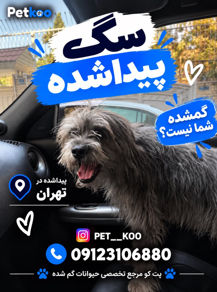 pet__koo's tweet photo. گمشده شما نیست؟ https://t.co/OCEeUYmHPT
