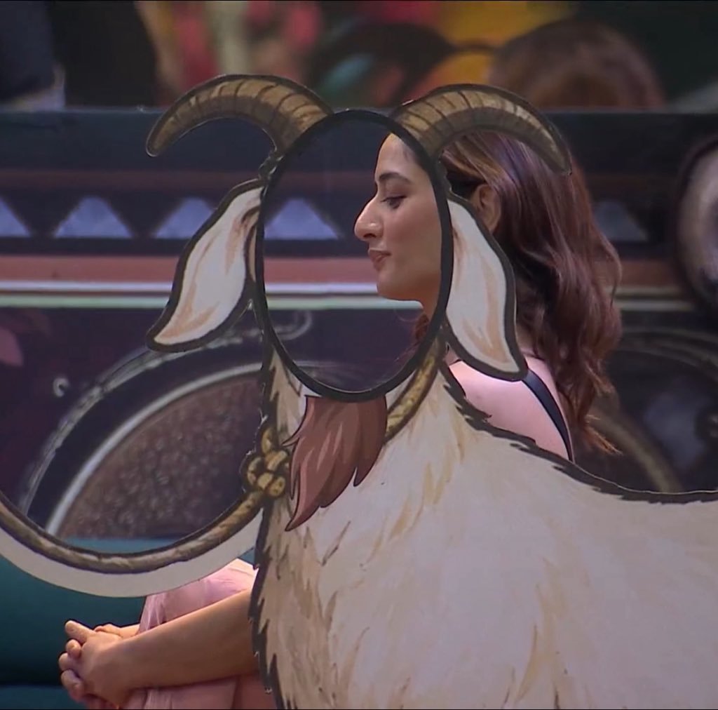 CapXGold's tweet photo. designer bakri 😭

#BB20 #UditiSingh #BiggBoss20 https://t.co/ni0DO1aPwR