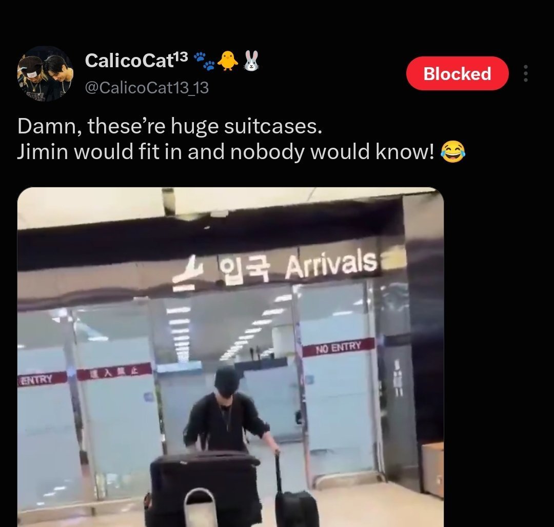 __thv_jk__'s tweet photo. But Pigmin doesn’t need big suitcases anyway. Even the smallest ones are too big for him ;) https://t.co/8IUoAwQWJu