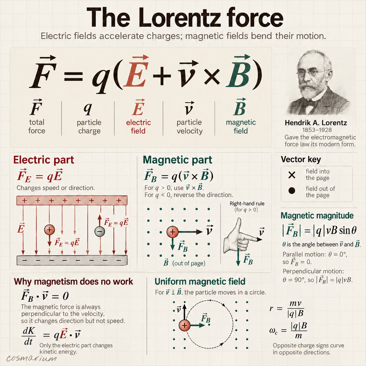 cosmarium's tweet photo. The Lorentz force describes how electric and magnetic fields act on a charged particle. Electric fields can change its kinetic energy, while magnetic fields bend its path.

The magnetic force is perpendicular to both the particle’s velocity and the magnetic field. Because it is perpendicular to the motion, it changes direction without changing speed.

In a uniform magnetic field, perpendicular motion becomes circular. This principle guides charged particles in mass spectrometers, accelerators, and magnetic confinement systems.