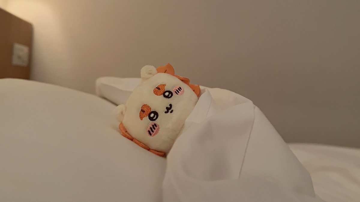 namagawaki__29's tweet photo. 💤 https://t.co/BHM33o6Juk
